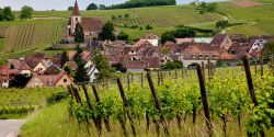 Week-end sur la route des vins d’Alsace, de Ribeauvillé à Kaysersberg